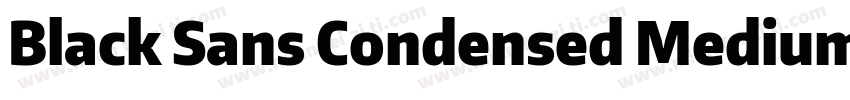 Black Sans Condensed Medium Regular字体转换